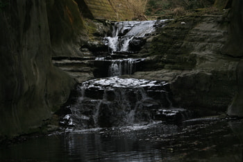 IMG_2781.JPG